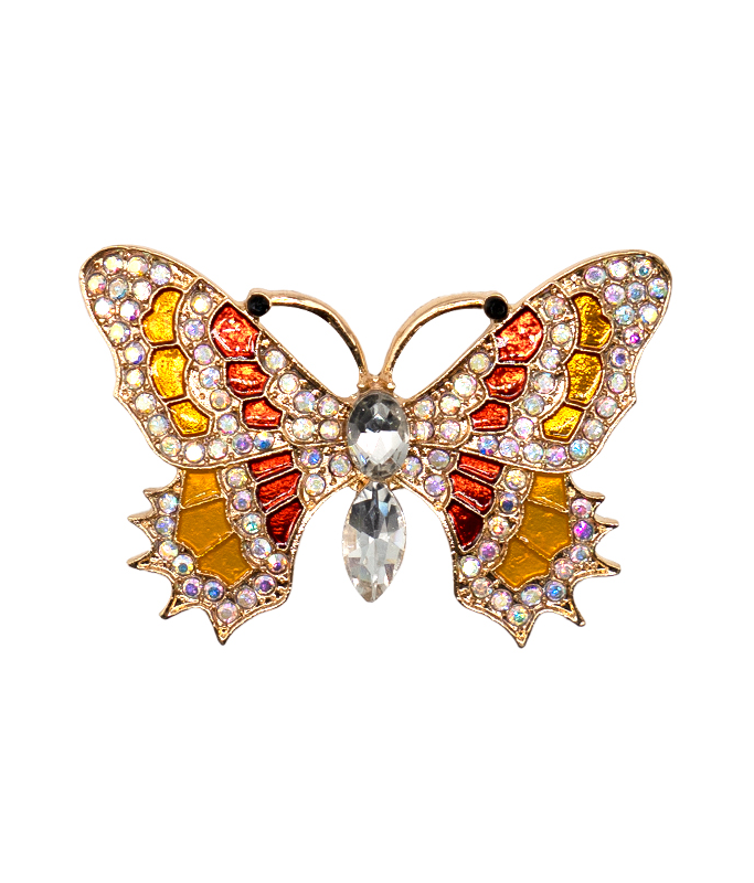 Colorful Butterfly